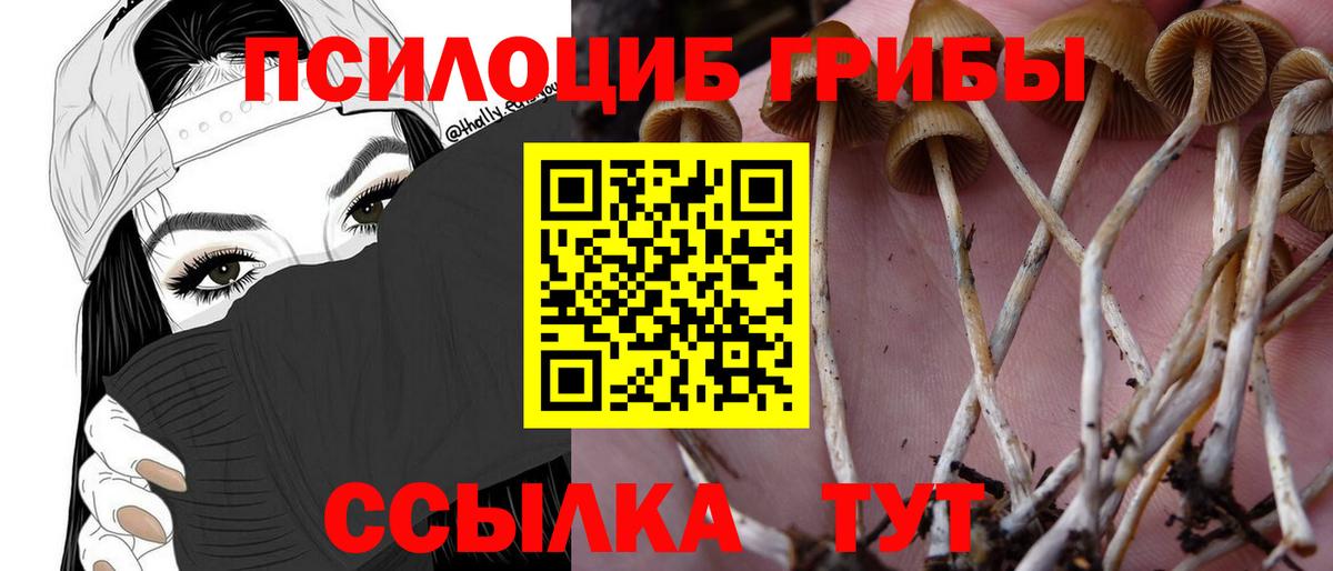 Мелеуз  Галлюциногенные грибы ЛСД  Вход с VPN  Галлюциногенные грибы Magic Shrooms 